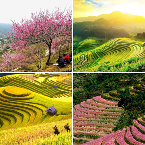 Mùa xuân Hà Giang